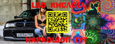 индика Гусев