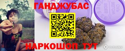 индика Гусев
