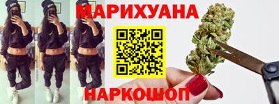 индика Гусев