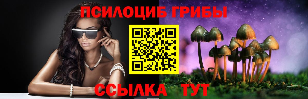 Псилоцибиновые грибы Psilocybe Мурино